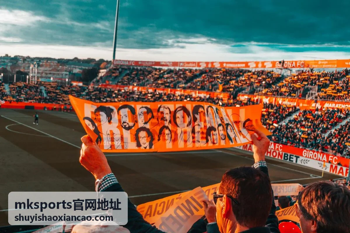 mksports官网地址访问前检查网络与设备环境