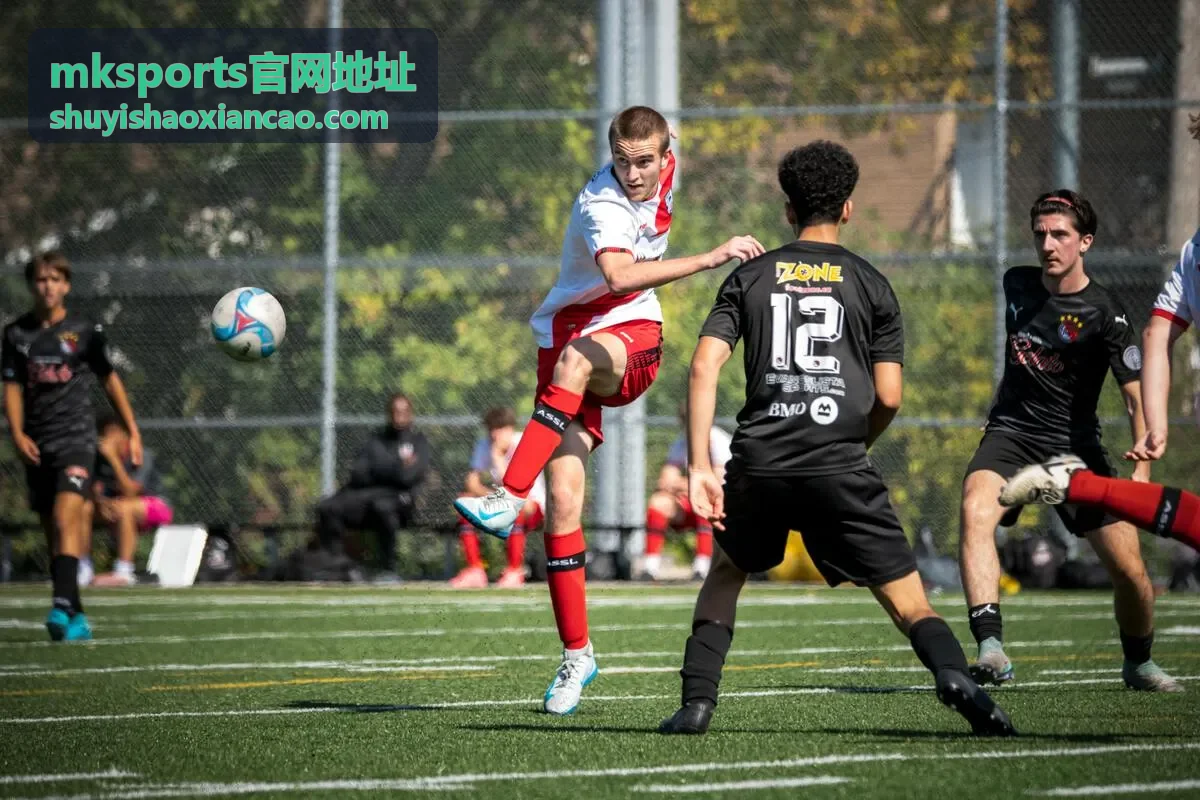 mksports官网地址常见问题与安全核对要点示意
