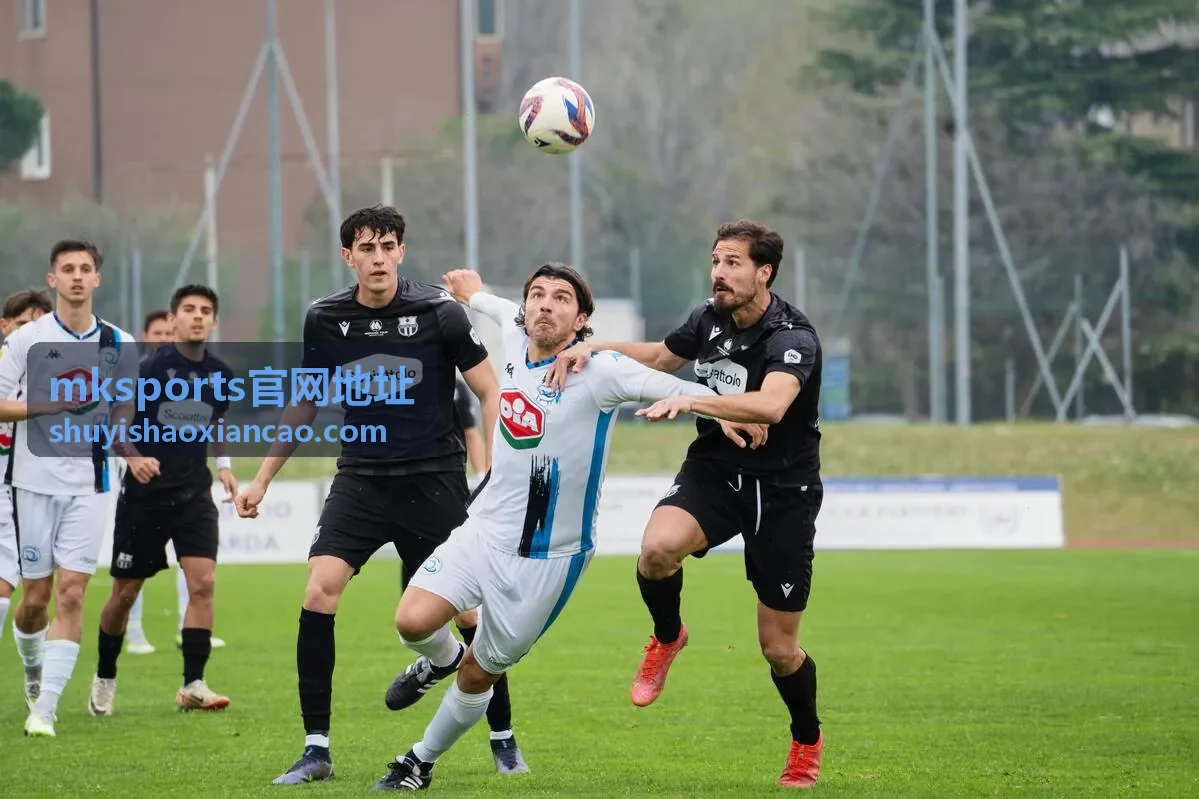 mksports官网地址活动提醒与订阅关注范围设置