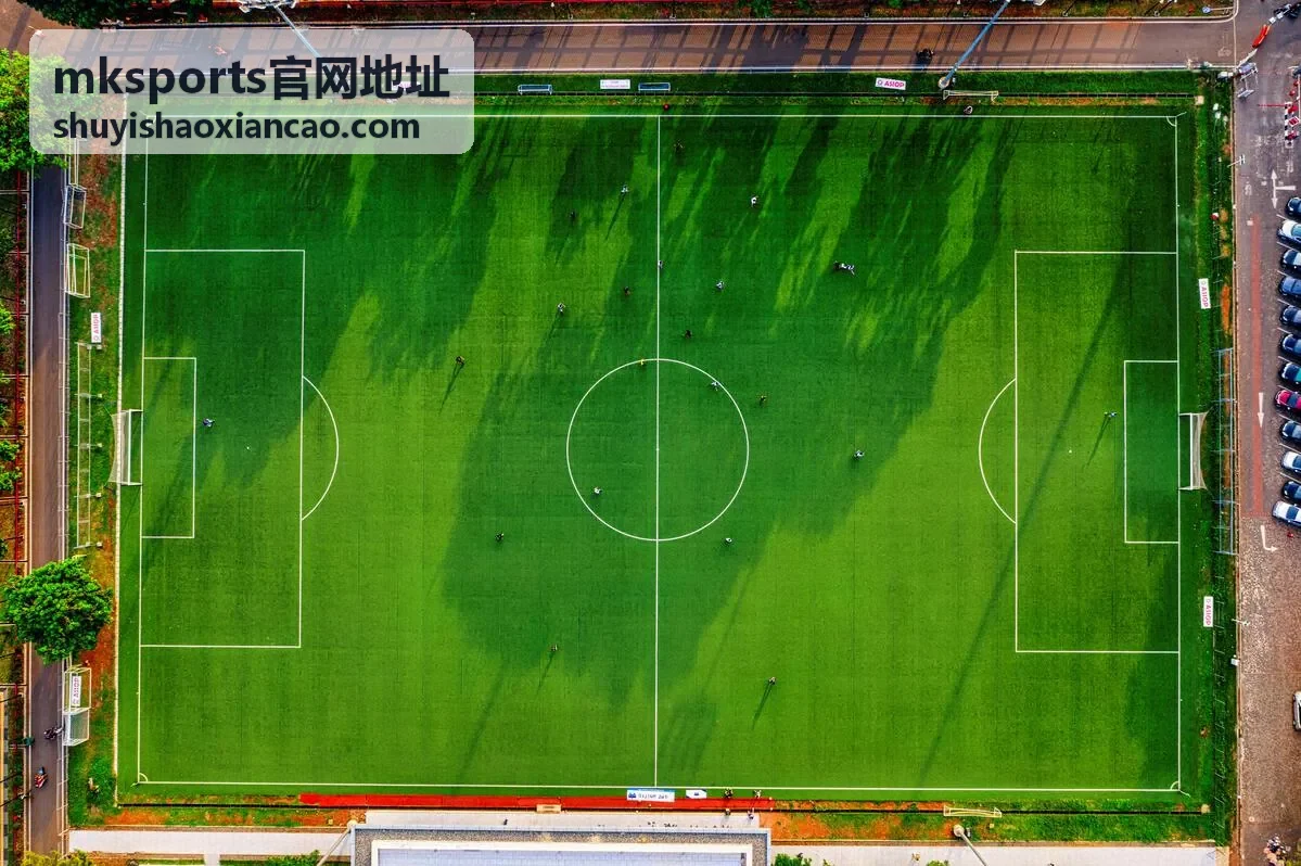 mksports官网地址活动上线说明与参与入口示意图