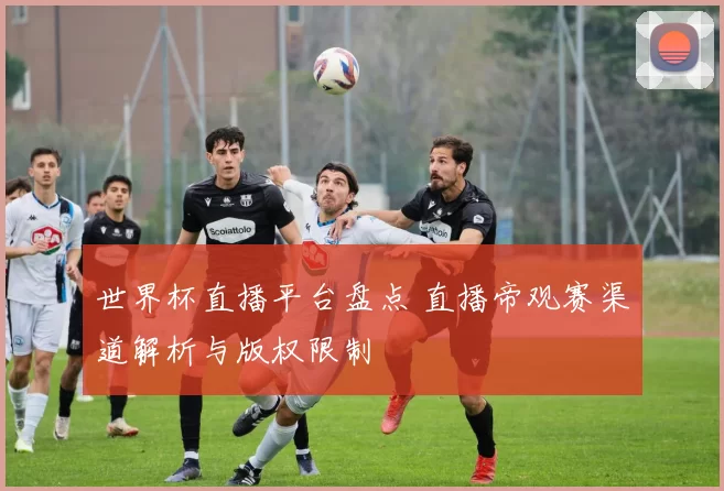 世界杯直播平台盘点 直播帝观赛渠道解析与版权限制