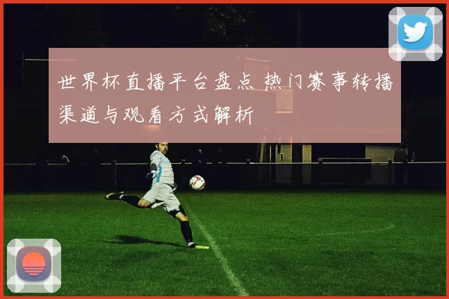世界杯直播平台盘点 热门赛事转播渠道与观看方式解析
