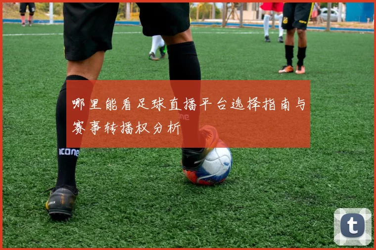 哪里能看足球直播平台选择指南与赛事转播权分析