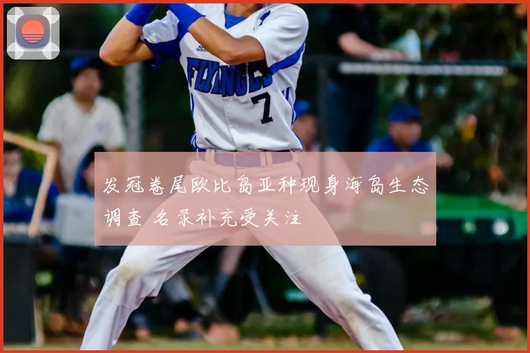 发冠卷尾欧比岛亚种现身海岛生态调查 名录补充受关注