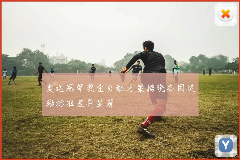 奥运冠军奖金分配方案揭晓各国奖励标准差异显著