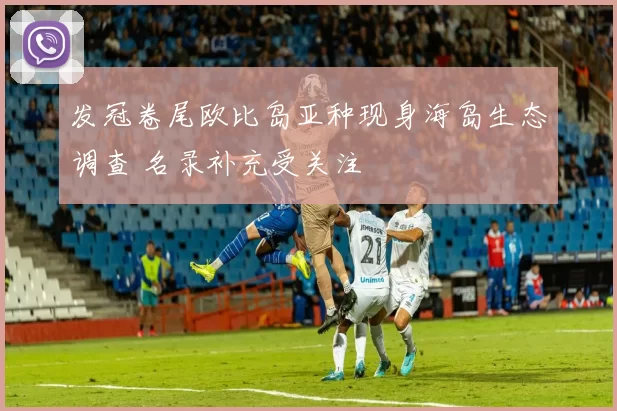 发冠卷尾欧比岛亚种现身海岛生态调查 名录补充受关注