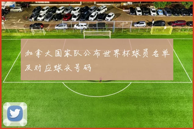 加拿大国家队公布世界杯球员名单及对应球衣号码