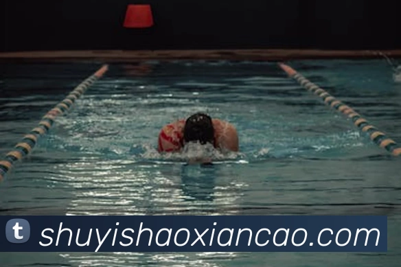 星空官方网页版入口服务体系